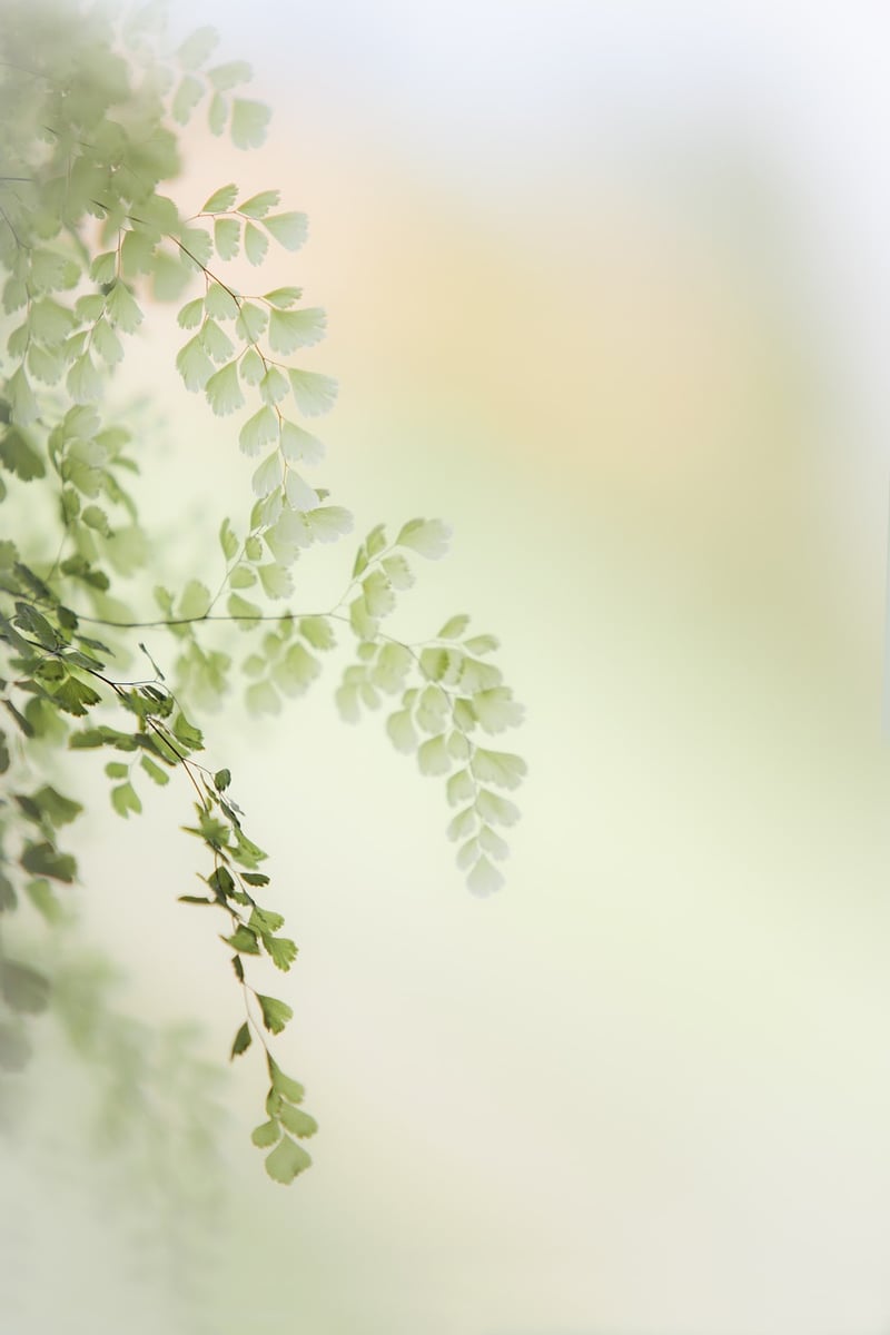 Lush greenery and flowers